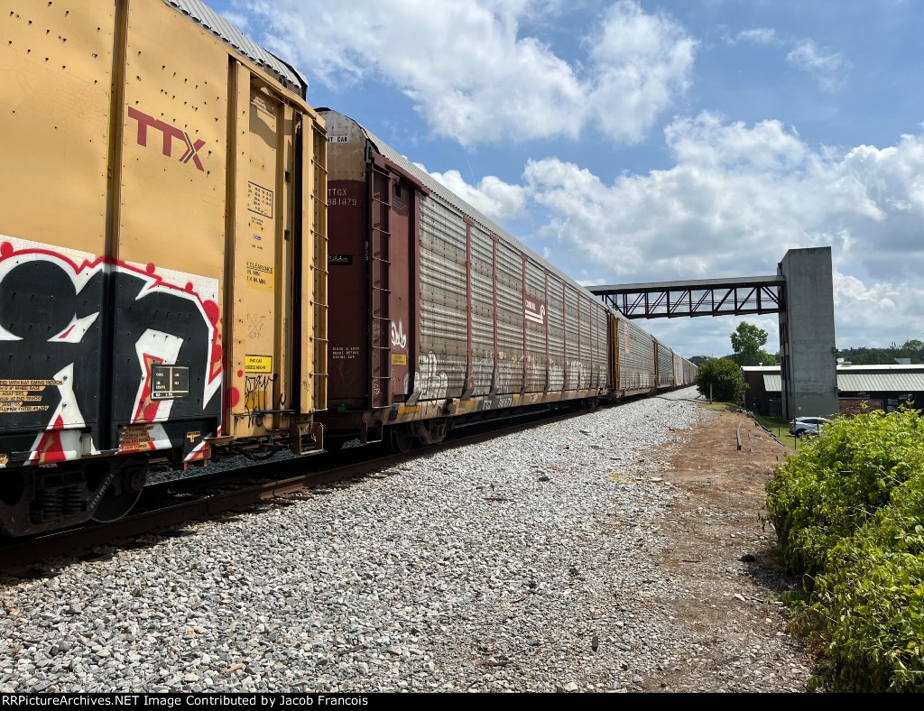 TTGX 981879